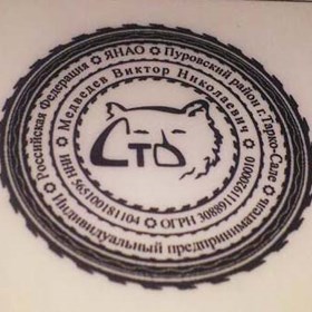 Логотипы: СТО ИП Медведев